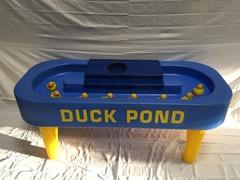 Duck Pond Duck Pond