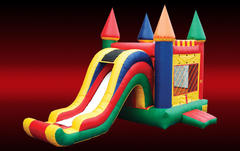 Slide/Castle Combo Slide/Castle Combo